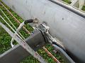 Mast Spreader Repair 018
